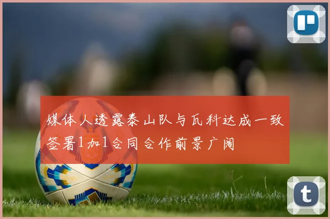 媒体人透露泰山队与瓦科达成一致签署1加1合同合作前景广阔